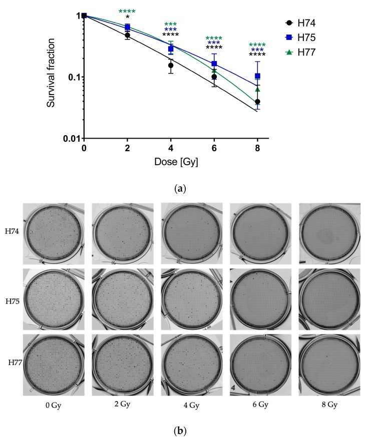 publication1.jpg